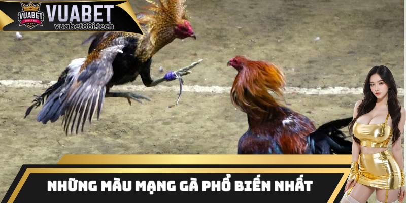 Những loại màu mạng gà phổ biến hàng đầu hiện nay